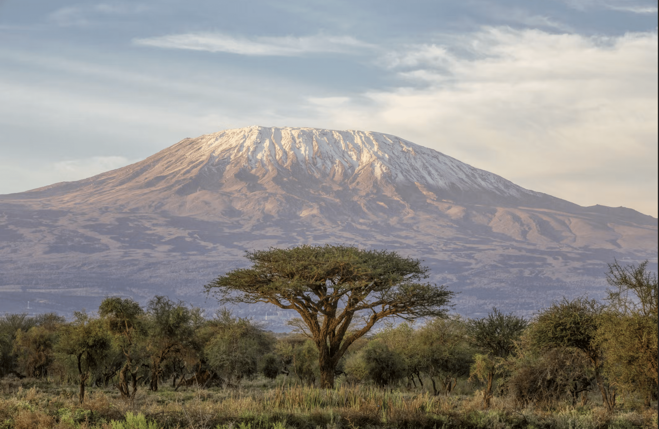 16 Year Old Preetham Goli Successfully Summits Mount Kilimanjaro