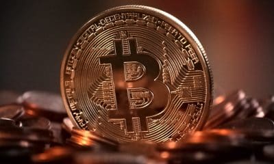 Bitcoin Surges in the Political Climate and Bullish Sentiment : CoinSwitch | Kamala Harris, Donald Trump, Ethereum, Cryptocurrency, US Presidential Elections