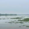 UP Tourism developing eco-tourism at Udhaila Lake in Ayodhya Uttar Pradesh UP Tourism eco-tourism Udhaila Lake Ayodhya Jaiveer Singh