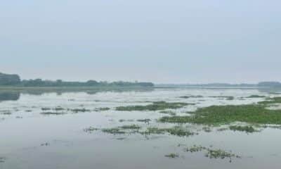 UP Tourism developing eco-tourism at Udhaila Lake in Ayodhya Uttar Pradesh UP Tourism eco-tourism Udhaila Lake Ayodhya Jaiveer Singh