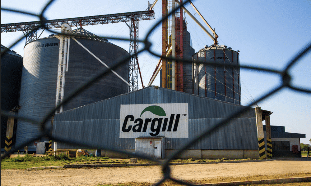 Cargill Cuts 8,000 Jobs as Profits Hit Decade-Low Cargill CEO Brian Sikes agricultural commodities trader Bunge Global SA Archer-Daniels-Midland Co.
