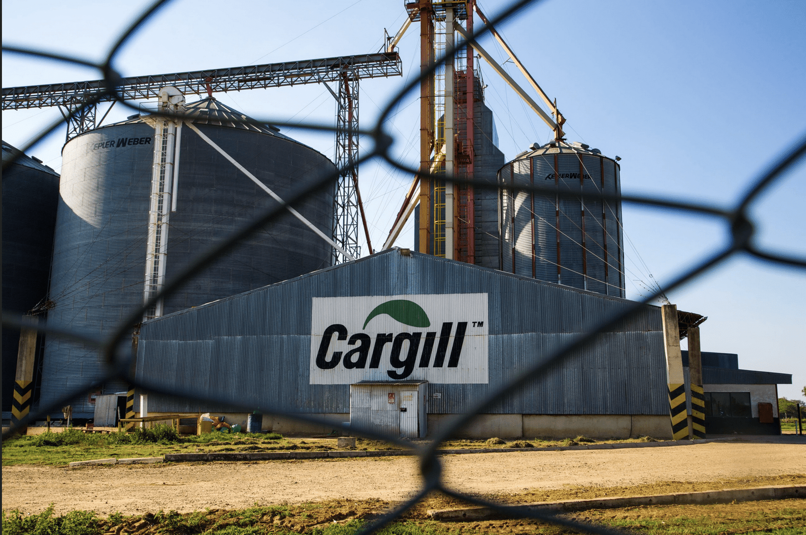 Cargill Cuts 8,000 Jobs as Profits Hit Decade-Low Cargill CEO Brian Sikes agricultural commodities trader Bunge Global SA Archer-Daniels-Midland Co.