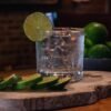 Diageo India Acquires NAO Spirits in $15.6M Deal, Boosting India’s Craft Gin Revolution Greater Than Hapusa PIPA