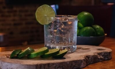 Diageo India Acquires NAO Spirits in $15.6M Deal, Boosting India’s Craft Gin Revolution Greater Than Hapusa PIPA