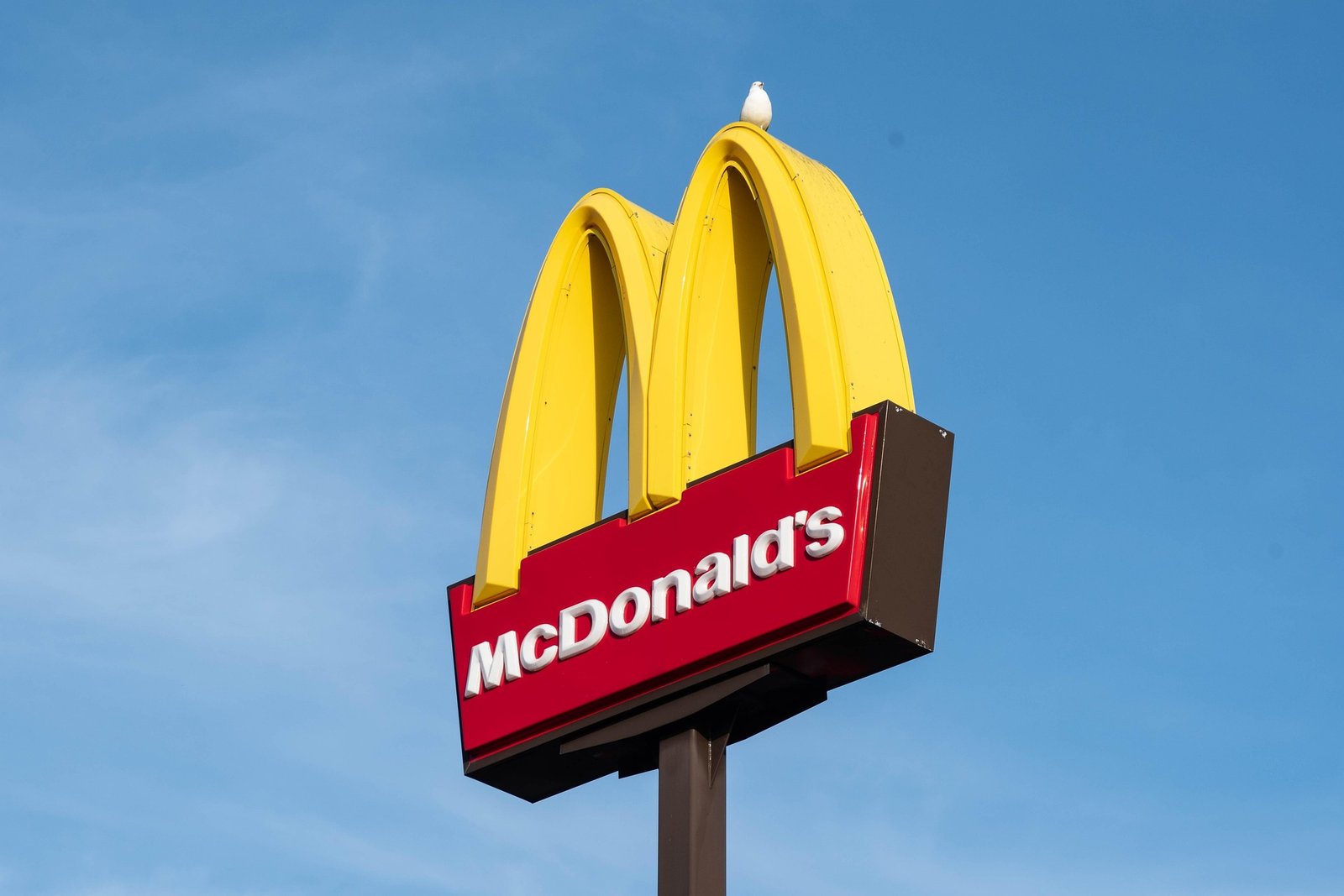 McDonald’s Boycott Launches Over DEI Rollback, Activists Target More Brands This Summer The People’s Union USA John Schwarz