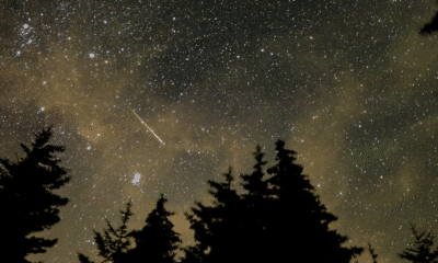 Perseid Meteor Shower 2025: Peak Viewing Tips for Aug. 12–13 Despite Bright Moonlight