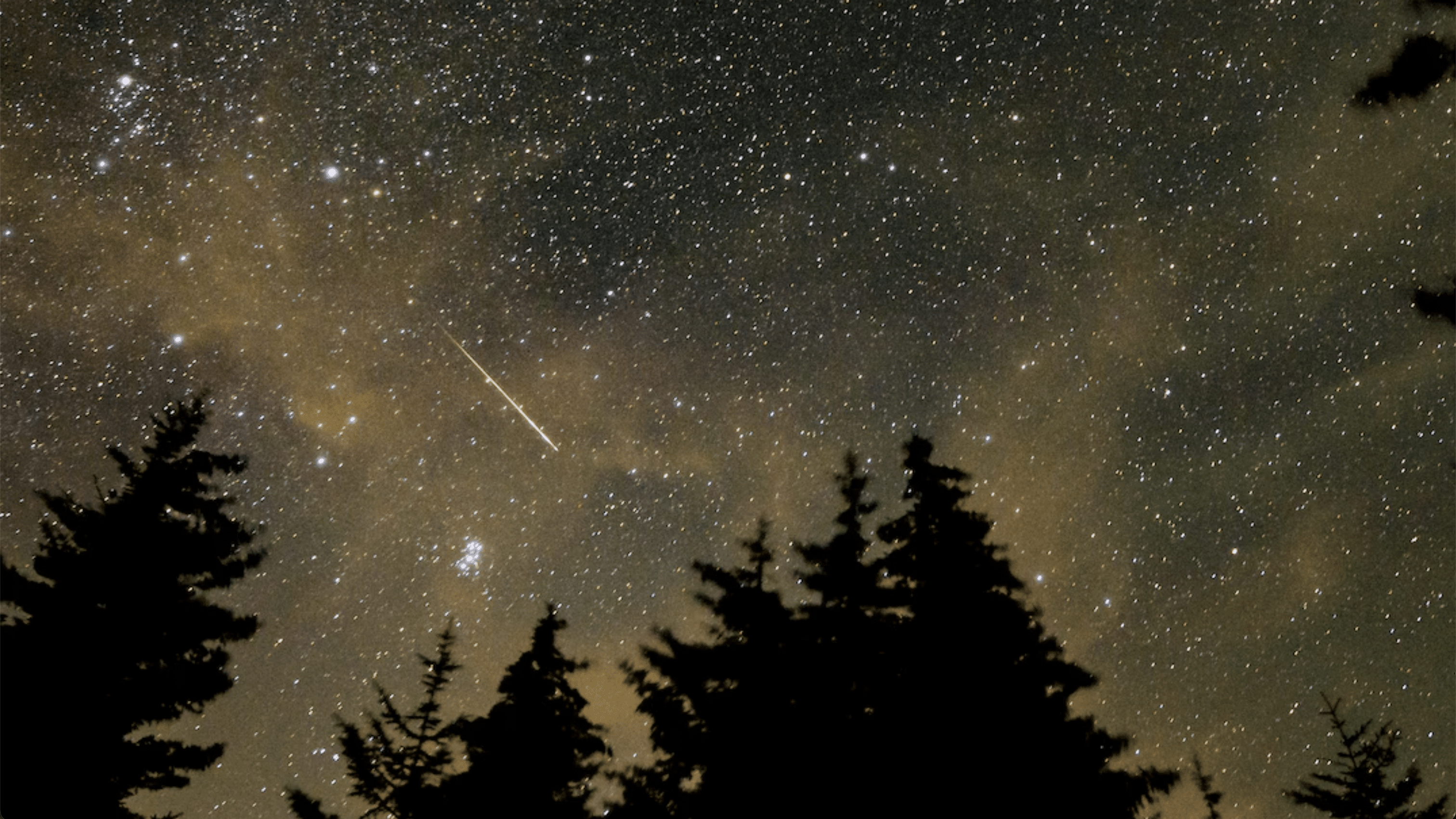 Perseid Meteor Shower 2025: Peak Viewing Tips for Aug. 12–13 Despite Bright Moonlight