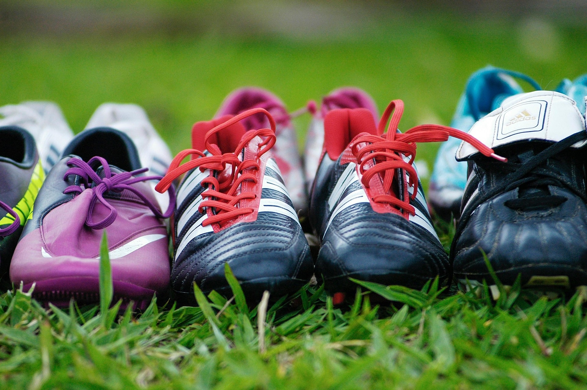Sportz Interactive Strengthens Leadership Team to Drive Global Growth and GenAI Innovation