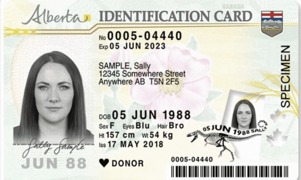 Canada's Alberta to become first province with citizenship markers