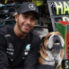 Lewis Hamilton Shares Heartbreaking Tribute After Bulldog Roscoe’s Death