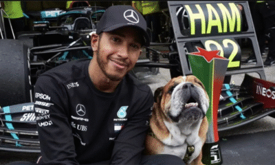 Lewis Hamilton Shares Heartbreaking Tribute After Bulldog Roscoe’s Death