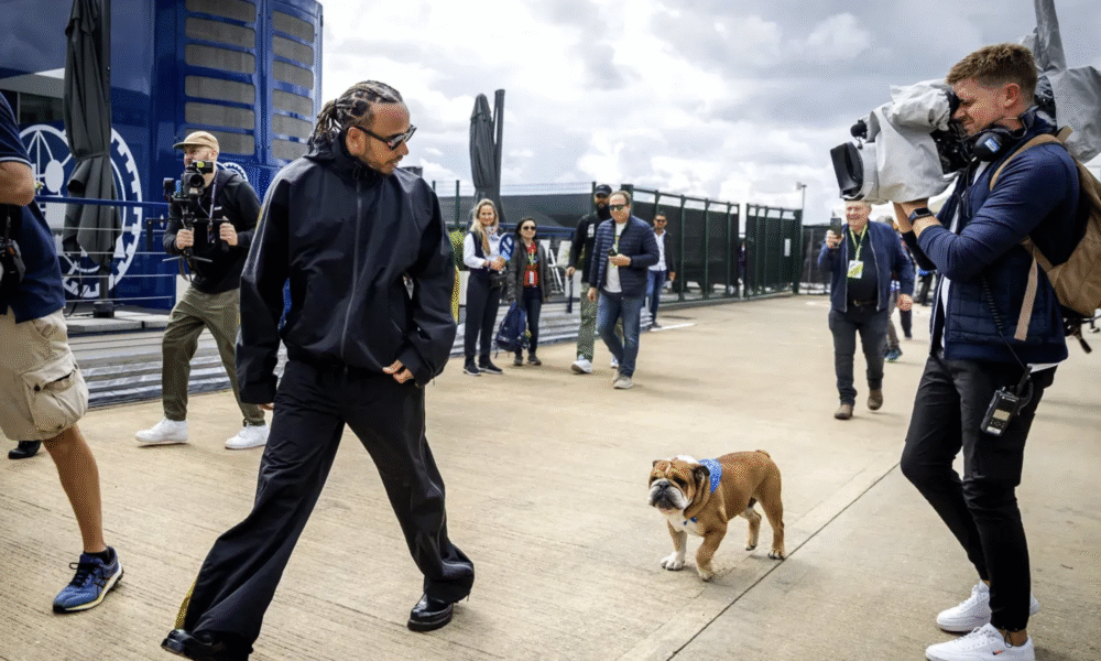 Lewis Hamilton With Roscoe