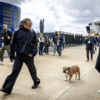 Lewis Hamilton With Roscoe
