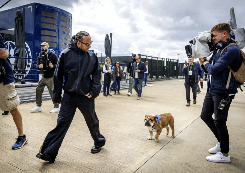 Lewis Hamilton With Roscoe