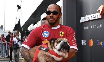 Lewis Hamilton Withdraws from Pirelli Tyre Test to Stay by Beloved Dog Roscoe’s Side