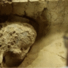 Million-Year-Old Skull in China Forces Scientists to Rewrite Human Evolution