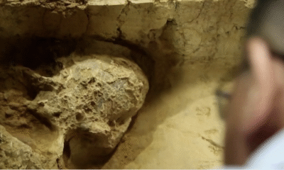 Million-Year-Old Skull in China Forces Scientists to Rewrite Human Evolution