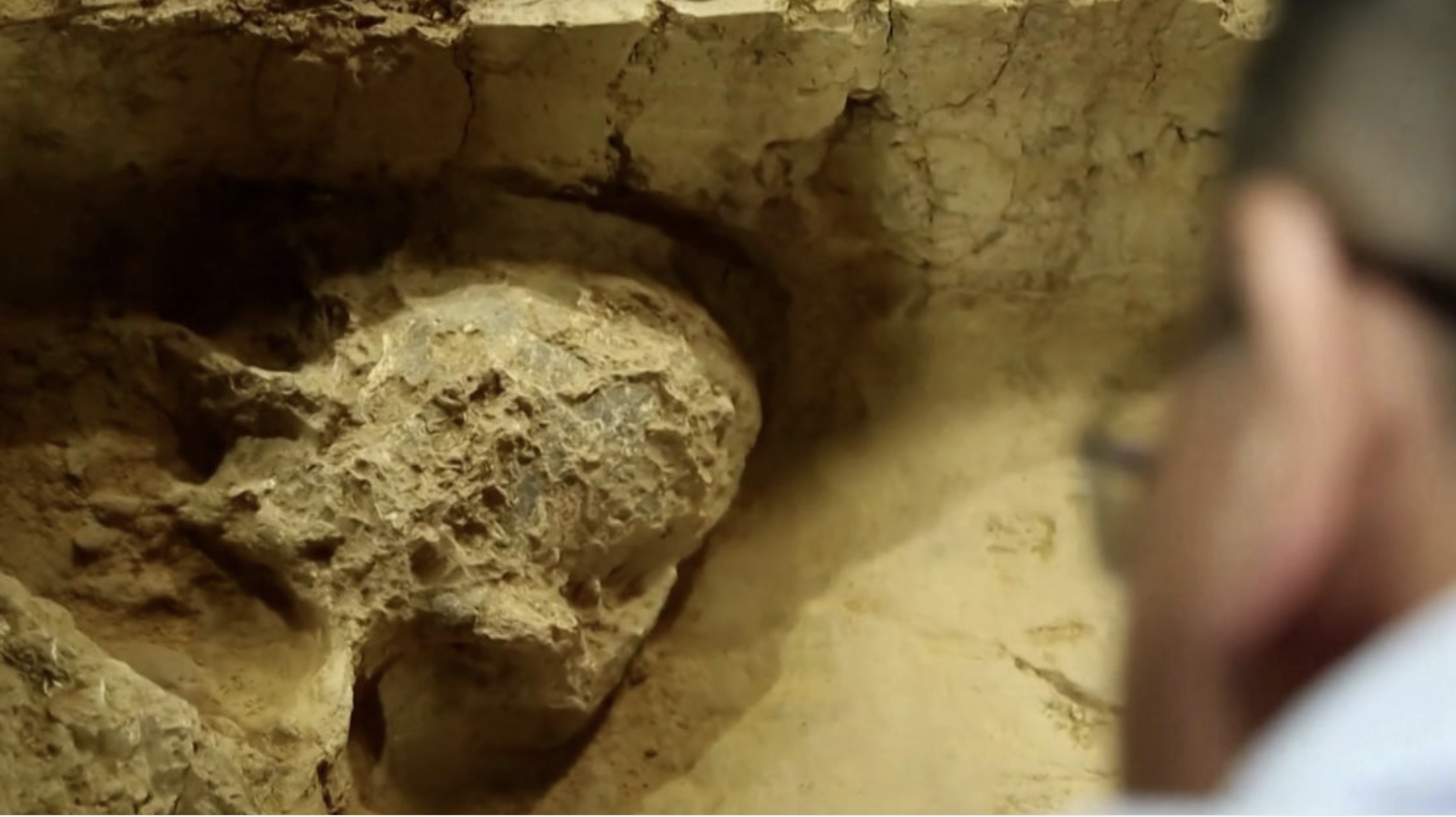 Million-Year-Old Skull in China Forces Scientists to Rewrite Human Evolution