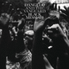 D'Angelo : The Vanguard Black Messiah Album