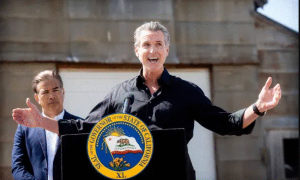 Gavin Newsom
