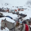 Hundreds Trapped in Rare Mount Everest Blizzard as Rescuers Battle Heavy Snow