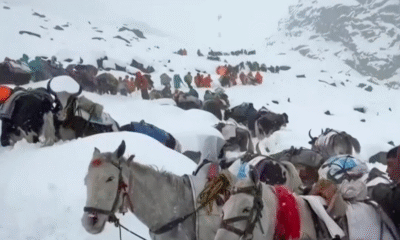 Hundreds Trapped in Rare Mount Everest Blizzard as Rescuers Battle Heavy Snow