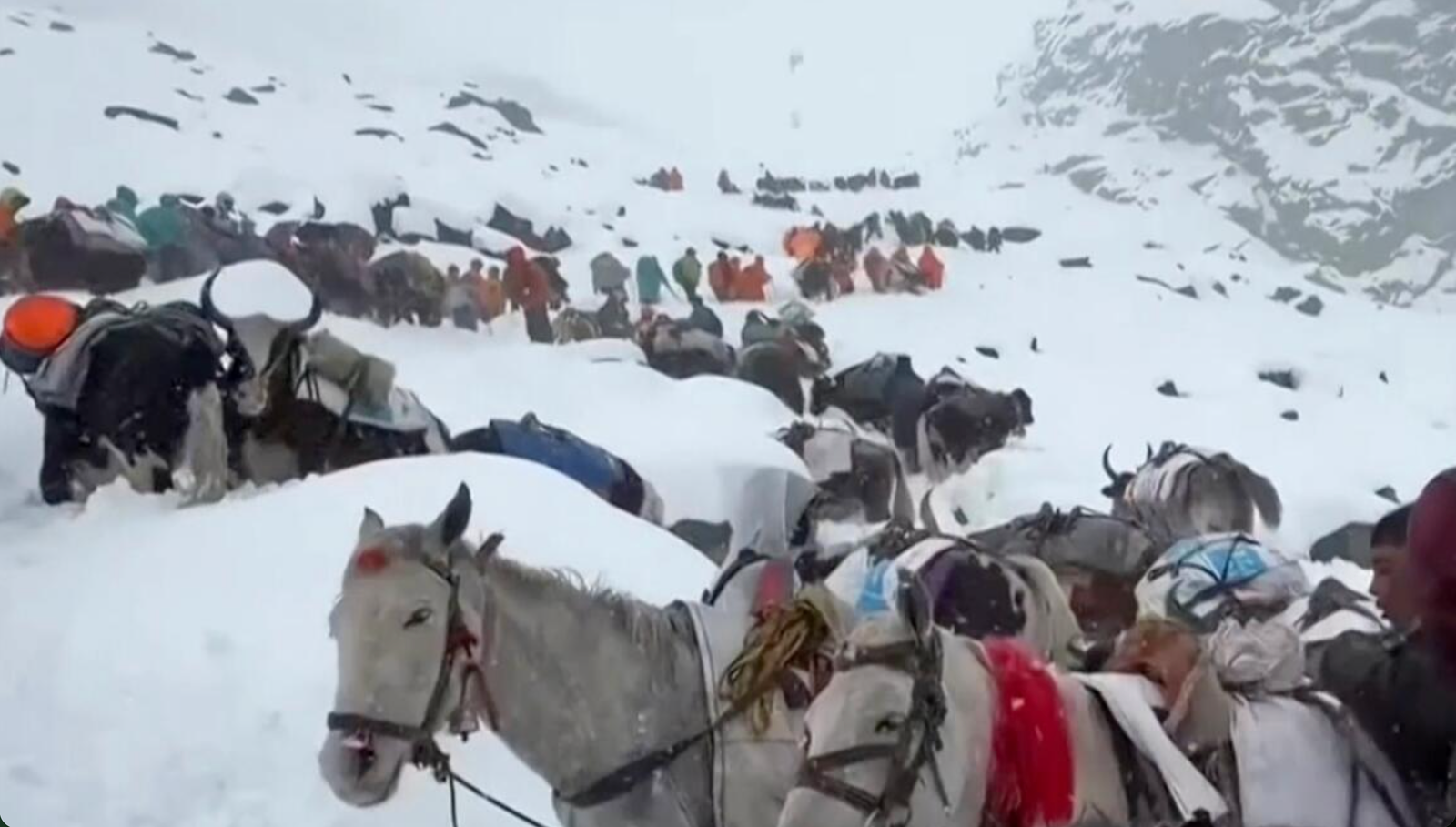 Hundreds Trapped in Rare Mount Everest Blizzard as Rescuers Battle Heavy Snow