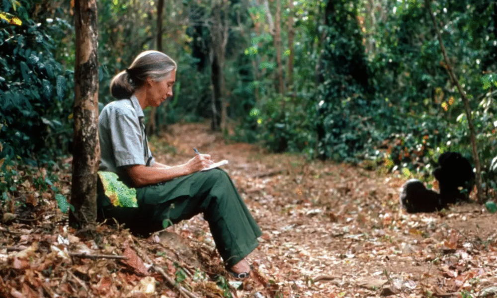 Jane Goodall's Extraordinary Life