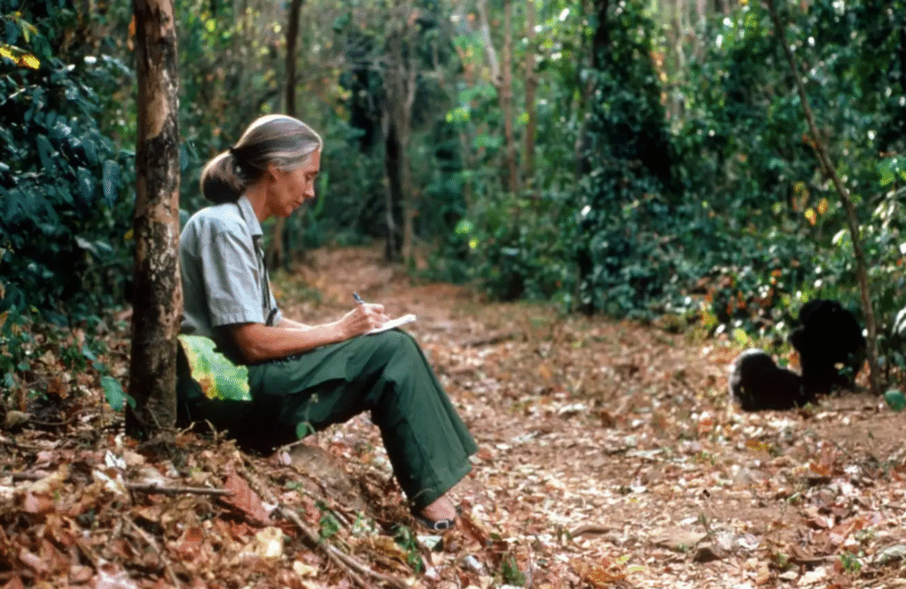 Jane Goodall's Extraordinary Life