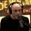 The Joe Rogan Experience Podcast