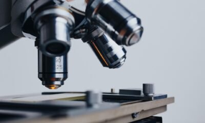 BugSpeaks Expands into Europe with Strategic Launch in Bulgaria