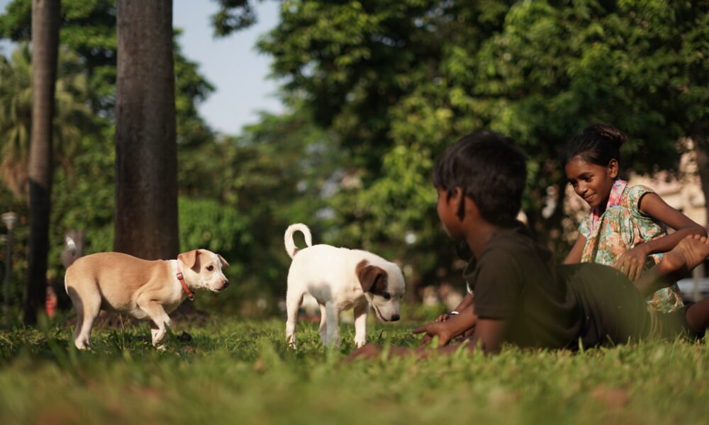 Deltin Foundation & Alpha Angels Host Transformative ‘Paws & Wellness Camp’ in Goa