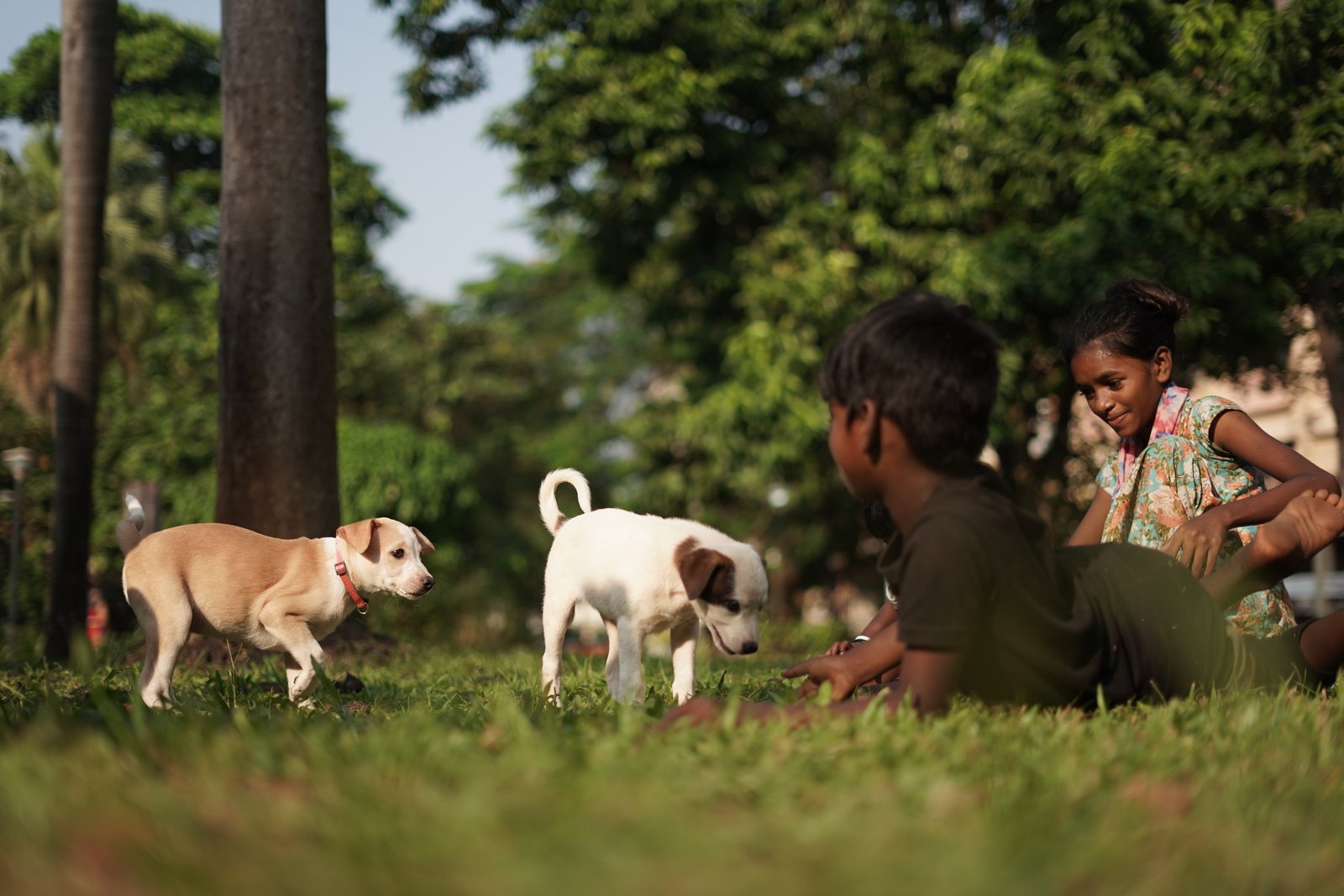 Deltin Foundation & Alpha Angels Host Transformative ‘Paws & Wellness Camp’ in Goa