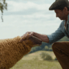 Hugh Jackman’s Shepherd Meets a Shocking Fate in ‘The Sheep Detectives’ Amazon MGM Trailer