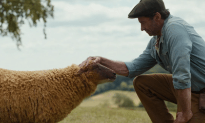 Hugh Jackman’s Shepherd Meets a Shocking Fate in ‘The Sheep Detectives’ Amazon MGM Trailer