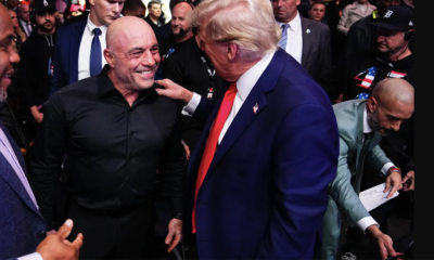 Joe Rogan Accuses Trump of Using ICE Crackdowns to Distract From Epstein Files Donald trump Minnesota ICE Chaos