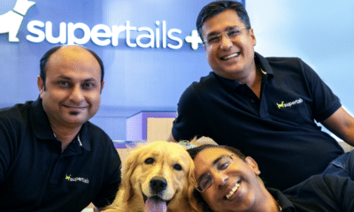 Supertails Raises $30 Million as India’s Pet Care Market Embraces the Pet Parenting Era Venturi Partners