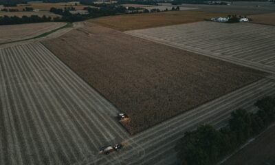 FarMart’s AI-Driven Supply Chain Model Boosts Farmer Income and Cuts Food Waste in India