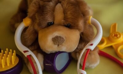 Pet Care Startup Moe Puppy Raises ₹2 Crore Pre-Seed Funding to Expand Premium Pet Wellness Products $216K PedalStart Venture Capital