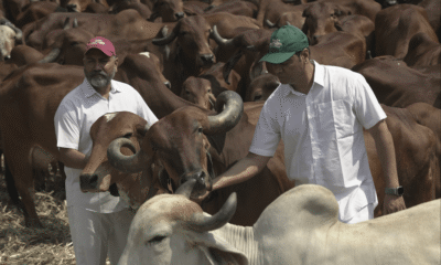 This Organic Farm Stay Near Pune Offers the Ultimate Slow Travel Escape - Two Brothers Bhodani near Pune Eco travel