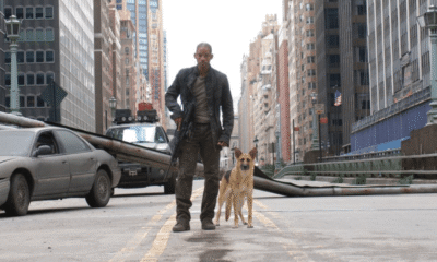 Will Smith's Zombie World Just Got a Director — and It Changes Everything Steven Caple Jr. Warner Bros. Robert Neville,