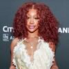 SZA Slams AI Music Training, Calls Out Artists Supporting ‘Disgusting’ Technology like Suno Database