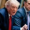 Trump’s Push to Revoke Citizenship Faces Legal Hurdles Despite Tough Immigration Rhetoric Denaturalization