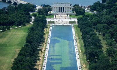 Trump’s Reflecting Pool Faces Fresh Crisis as Algae, Peeling Paint Force New Drainage Renovation Vandalism