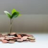 Venture Catalysts Exits TruNativ, Delivers Strong Investor Returns Across Two Investment Rounds Apoorva Ranjan Sharma