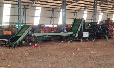 Agrograde Unveils 10-Ton-Per-Hour Onion Grading Machine in Maharashtra Slashing Labor by 80%