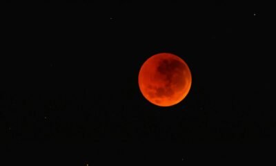 Blood Moon 2026 Near-Total Lunar Eclipse Is About to Turn the Moon Red