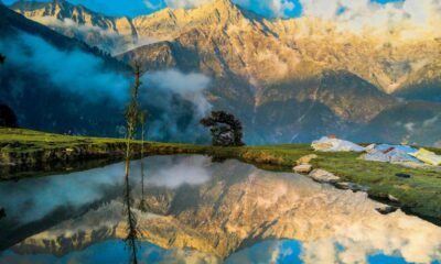 ISB Indian School of Business Joins Forces with Himachal Pradesh To Unlock $2.52 billion Forest Economy Ashwini Chhatre