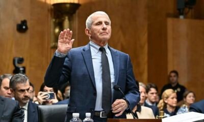 Three States Subpoena Anthony Fauci as Senate Contempt Vote Nears Rand Paul Fifth Amendment Plead