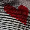 Tulu Health Launches AI-Powered Longevity OS as It Targets U.S. Healthcare Expansion